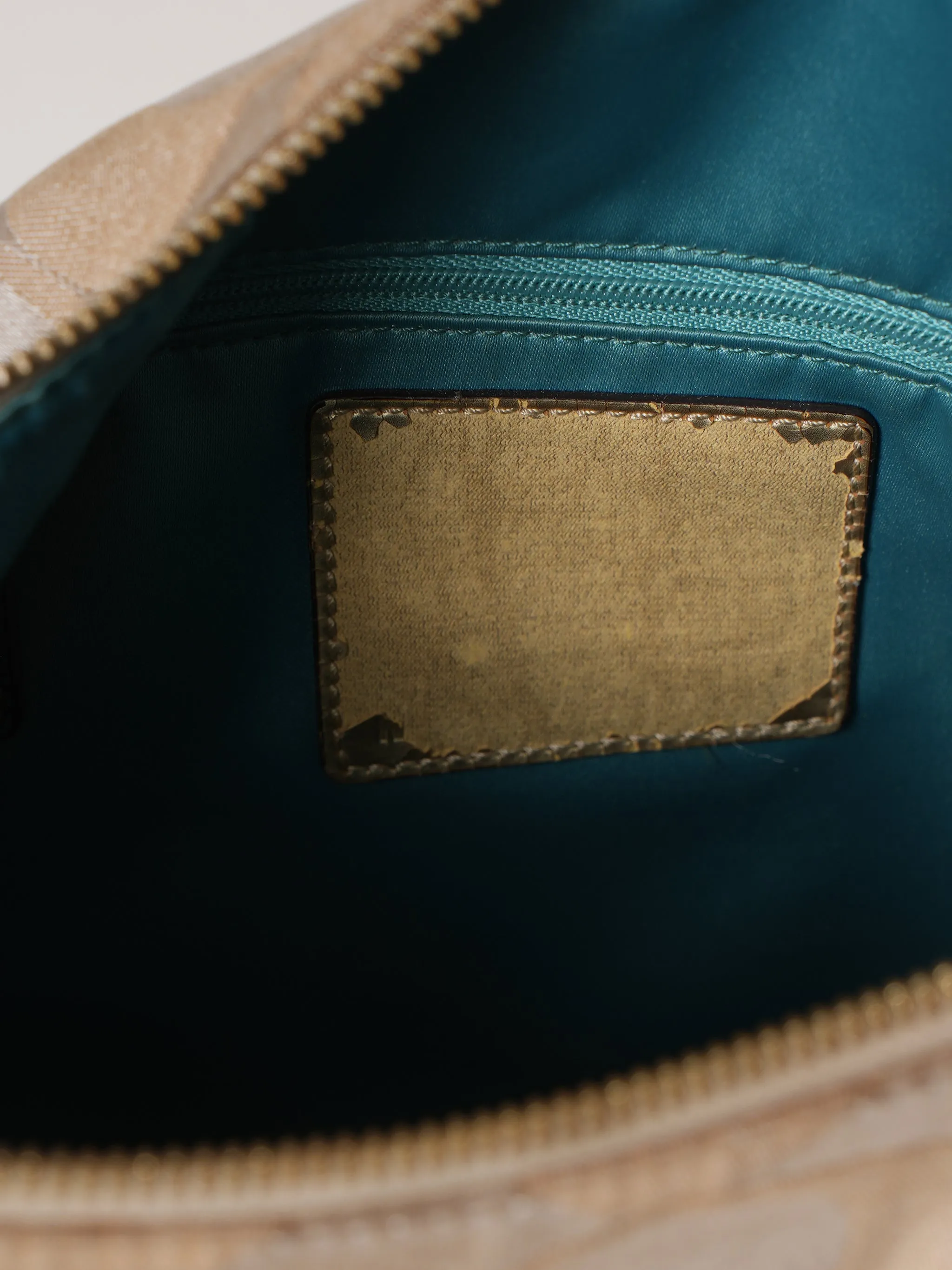 Coach Hobo Bag